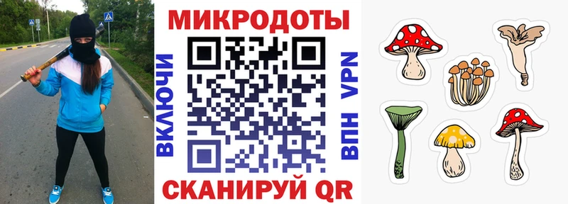 Галлюциногенные грибы Magic Shrooms  Купить где  Сухой Лог 